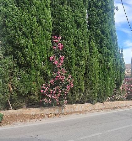 Coqueto Apartamento Murcia Esterno foto